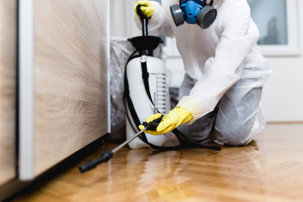 Best Pest Removal Services  in Carter Lake, IA
