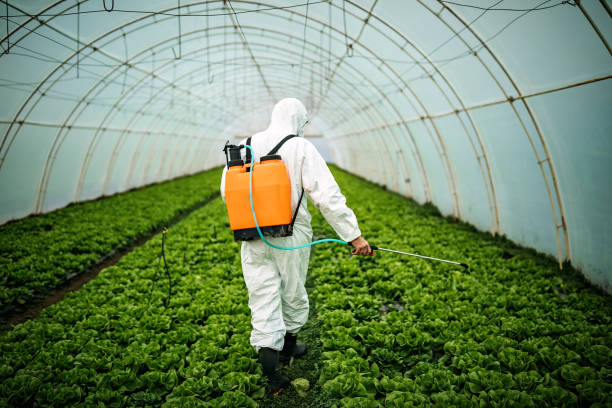 Best Best Pest Control Companies  in Carter Lake, IA