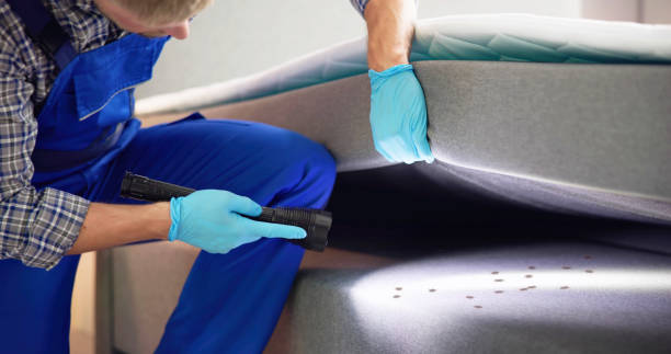 Best Termite Control Services  in Carter Lake, IA