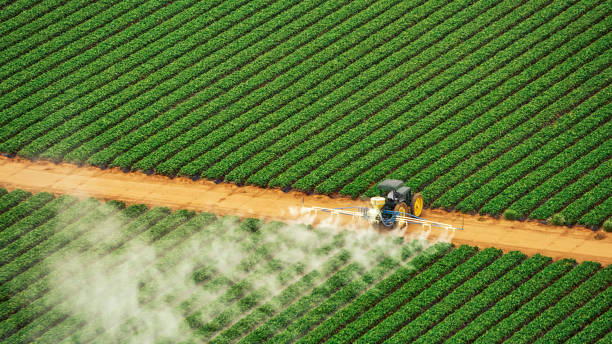 Best Ant Control Services  in Carter Lake, IA